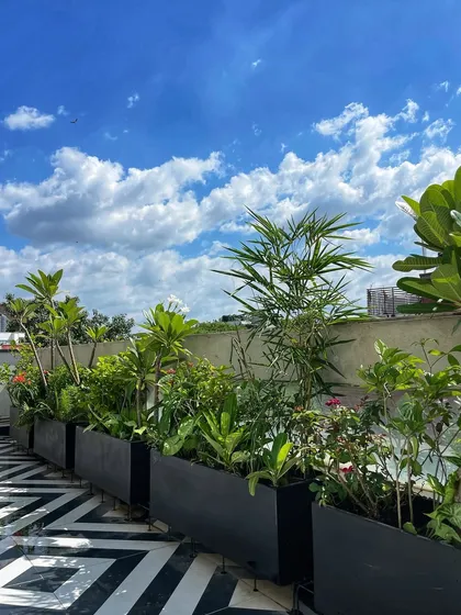 A beautiful view from a terrace we designed. The black planter boxes filled with Champa trees and other assorted plants create a lovely green border against the sky.