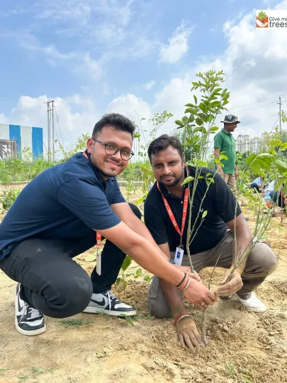 A great day getting our hands dirty with the team from EXL in Greater Noida. Our corporate plantation drives are designed to be more than just a CSR activity; they are a powerful employee engagement initiative that builds teamwork and a shared sense of purpose.