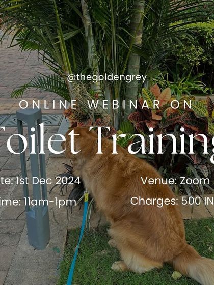 Nitika Ahlawat - Educational Workshops & Webinars My Online Webinars photo 5