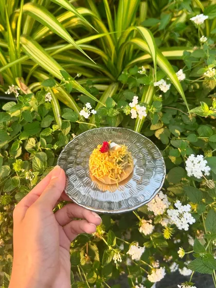 Our Avocado Papdi Chaat with feta crumble, a fusion dish that combines the creaminess of avocado with the crunch of Indian papdi.