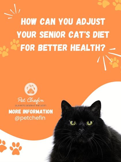 As cats age, their nutritional needs change. It's important to adapt their diet with high-quality protein and reduced calories, and our soft, air-dried treats can act as great natural supplements.