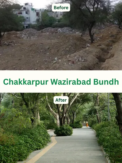 The Chakkarpur Wazirabad Bundh was once a dumping ground for waste. Now, it's a beautiful, shaded walkway, a green artery running through the city that promotes clean mobility and community well-being.