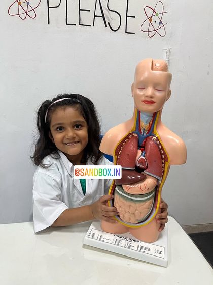 The smile of a future doctor! Interacting with these models takes the mystery out of human anatomy and sparks a genuine interest in biology and medicine.