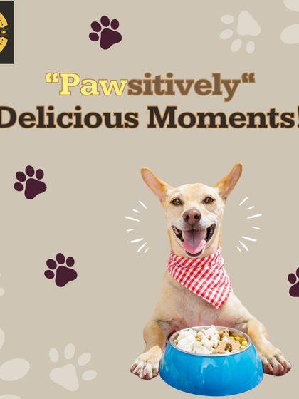 Pawsitively delicious moments are made here! We believe every meal should be a happy one. We offer a wide range of nutritious and tasty food options to keep your furry friend's bowl exciting and their tail wagging.