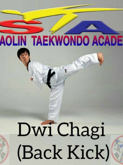 The Dwi Chagi, or Back Kick. A powerful surprise technique that can be used effectively in sparring when mastered.