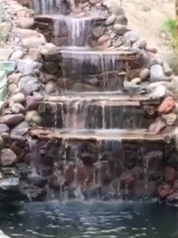 Landscaping and Garden Design