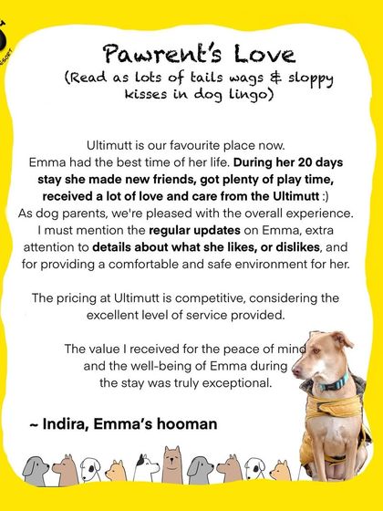 Emma's mom, Indira, highlights the peace of mind she felt during Emma's 20-day stay. We pay close attention to each dog's needs to provide a comfortable and safe environment.
