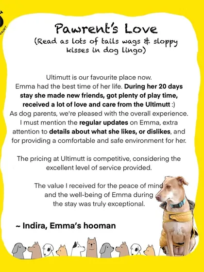 Emma's 20 day stay was a joy for all of us. Her mom, Indira, was pleased with the detailed attention we gave to Emma's likes and dislikes, ensuring her long stay was comfortable, safe, and full of new friends.