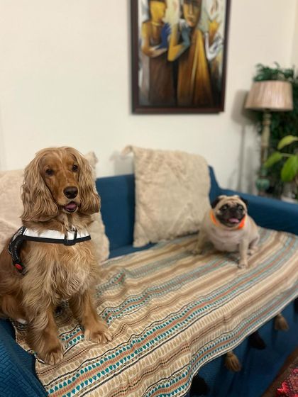 A candid moment with his friend Coco the pug. They are not divorced, just separated by the couch cushions!