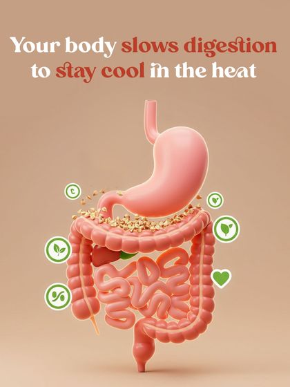 Ever wonder why you feel less hungry in the summer? Ayurveda explains that our digestive fire (Agni) naturally decreases to keep the body cool. Understanding this helps you eat right for the season.