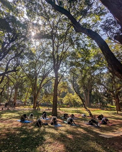 Outdoor Group Yoga