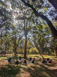 Multi-Style Yoga Instruction