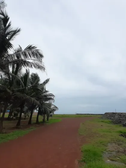 The walking and jogging track runs alongside the sea, lined with palm trees. It is an inspiring path for a warm up run or a cool down walk after a tough training session.