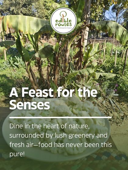 A feast for the senses. Dining in nature, surrounded by the very plants that make up your meal, is an experience of pure connection and taste.