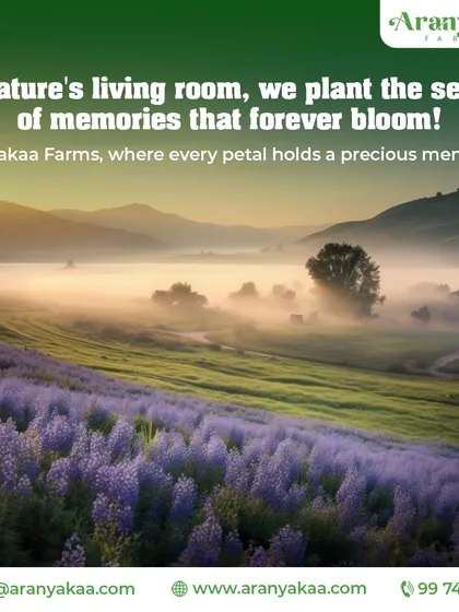 In nature's living room, we plant the seeds of memories that forever bloom. This image of a misty, flower-filled valley represents the beautiful and precious moments you can create at Aranyakaa Farms.