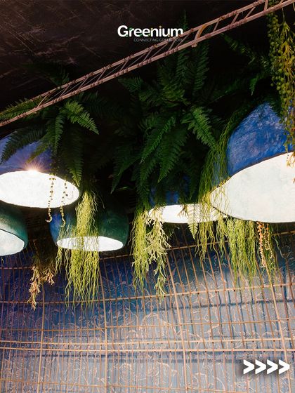 Greenium - Interior Plantscaping & Decor Outdoor Living: Balconies, Terraces & Backyards photo 31