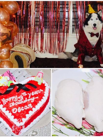 K9 Gurukul - Dog Boarding & Daycare Birthday Paw-ties & Celebrations photo 18