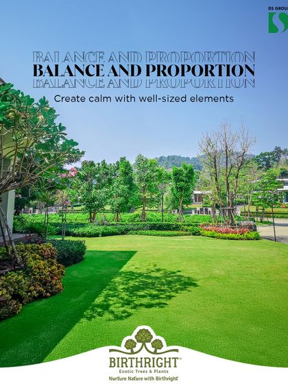 Balance and proportion are key to creating a sense of calm. This expansive lawn is balanced by well sized trees and shrubbery, ensuring that no single element overwhelms the scene and the entire landscape feels peaceful.