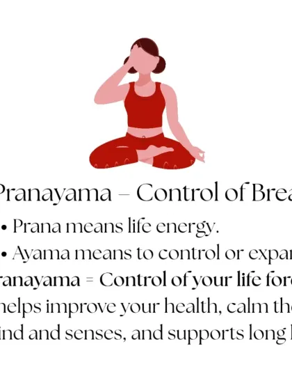 Rohit N - Yoga Teacher Training Yoga Philosophy: Wisdom for Modern Life photo 7