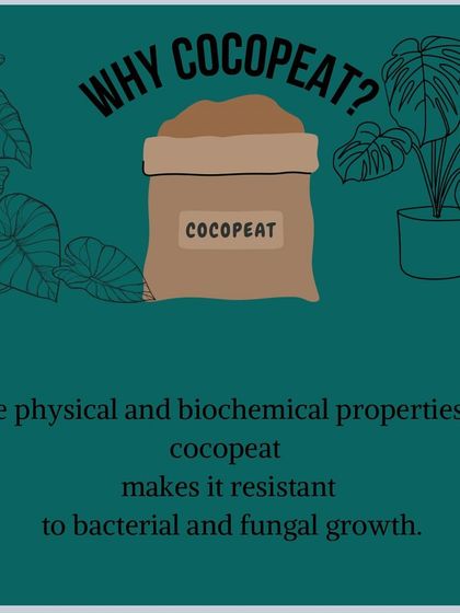 Why cocopeat? Its physical and biochemical properties make it naturally resistant to bacterial and fungal growth, promoting healthier roots.