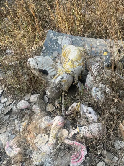 The unfortunate sight of discarded murtis in nature. This is what motivates our 'Project Sacred Wings,' a clean-up event focused on respectfully managing and disposing of sacred waste found in public spaces.