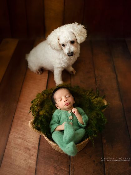A different angle of the family dog watching over the newborn. This shot emphasizes the protective and gentle nature of the bond between a baby and their pet.