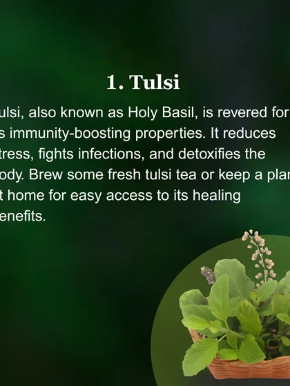 Tulsi, or Holy Basil, is a cornerstone of Ayurvedic home care. I consider it one of the most important herbs for boosting immunity and fighting infections. This simple guide shows how you can use Tulsi, by brewing it into a tea or keeping a plant at home, to help your family stay healthy naturally.