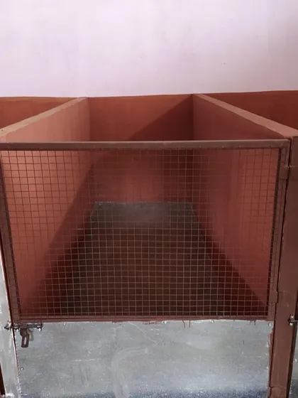 The interior of our kennels is spacious, giving dogs plenty of room to stand, turn around, and lie down comfortably.