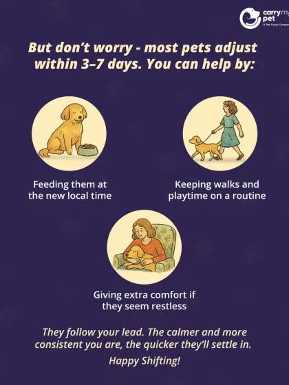 CarryMyPet - Pet Travel & Parenting Consultation Your Pet Travel Questions, Answered photo 25