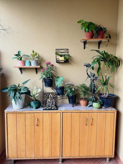 Another part of the balcony where we repurposed an old cabinet. It now serves as a perfect plant stand, with shelves above holding even more greenery, creating a full and organized display.