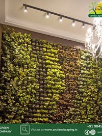 Vertical Garden Installation