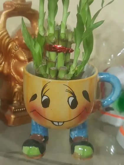 Another look at the smiley-face mug planter. It's a fun and whimsical way to display small plants and bring a smile to your face.