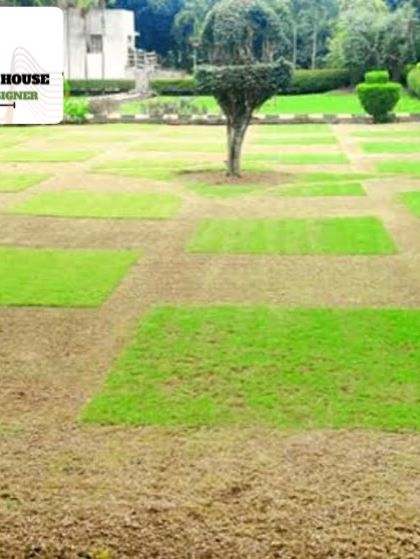 Our Services & Portfolio photo 3