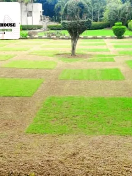 This image shows patches of new grass growing in a field. We cultivate high-quality grass to ensure our clients get the best possible lawn.