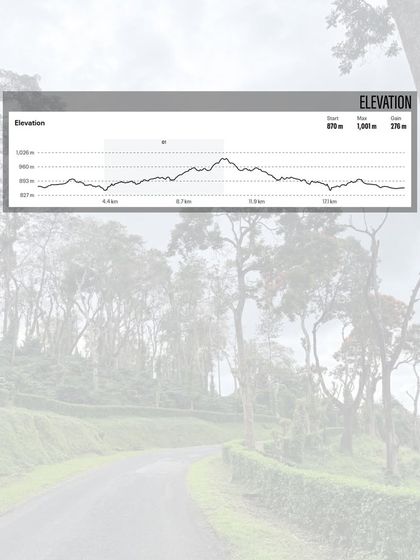 Know your elevation. This chart shows the climbs and descents you'll face, helping you prepare for the challenge ahead.
