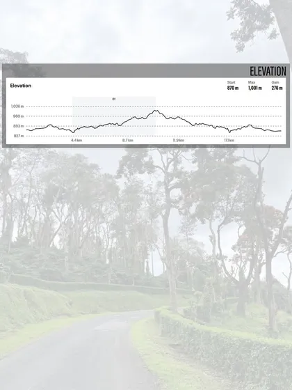 Know your elevation. This chart shows the climbs and descents you'll face, helping you prepare for the challenge ahead.