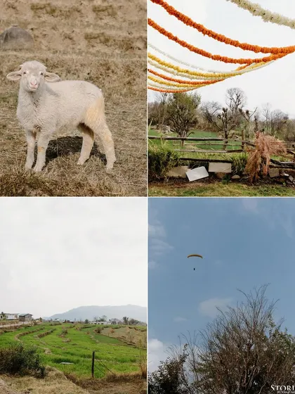 A collage capturing the essence of Bir Billing, from the local scenery to a paraglider in the sky, telling the story of where the couple first met.