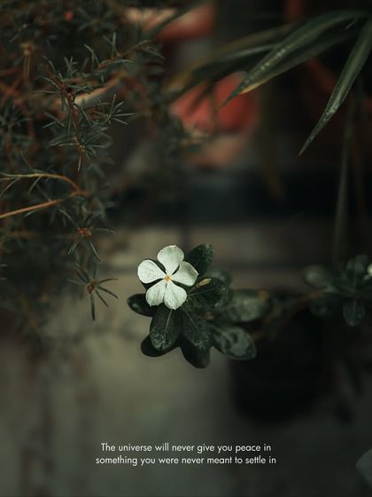 Garima Bhaskar - Photo & Video Editing Presets Aqua: Moody Blues & Greens for Travel photo 16