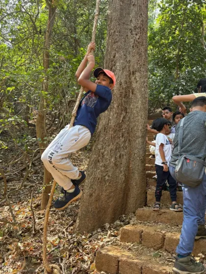 Some of the best playground equipment doesn't come from a factory. A simple rope swing tied to a sturdy tree offers endless fun and a little thrill, reminding us of the simple, timeless joys of outdoor play.