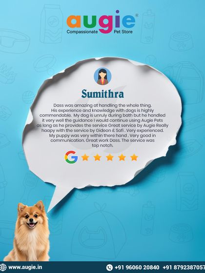 Augie Pets - Pet Grooming Services Words from Our Pawsome Community photo 7