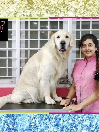 Fuzzy Wuzzy - Pet Grooming & Spa Spaniels, Retrievers & Large Breed Grooming photo 27