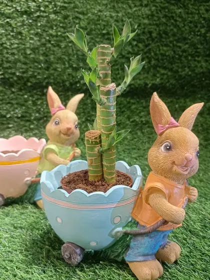 Here you can see both the blue and pink bunny planters together. They make a lovely pair for decorating a home garden.