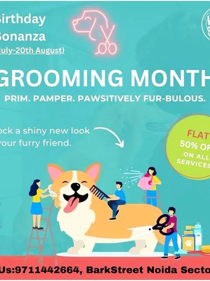 We love celebrating with our community. Here is an example of our Grooming Month bonanza, where we offered a flat 50% off on all services to give every pup a chance for a fur-bulous makeover.