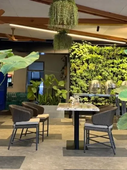 A close-up of the planting scheme at the KGA cafe. The large, sculptural leaves of the Strelitzia nicolai (Giant White Bird of Paradise) add a tropical, resort-like feel to the golf club environment.
