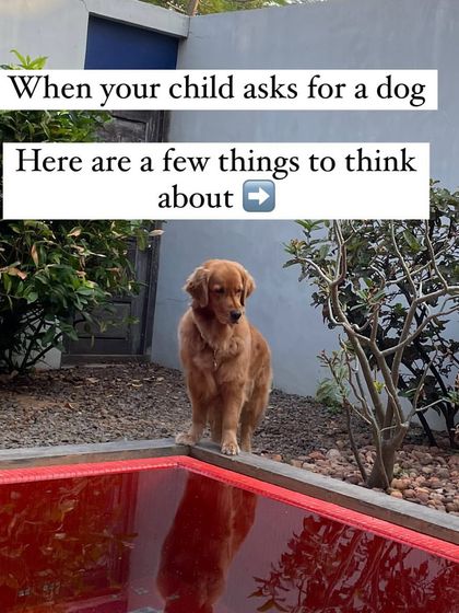 Nitika Ahlawat - Dog and Child Safety & Integration Is Your Family Ready for a Dog? photo 8