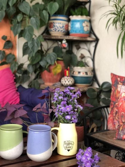 Make My Garden - Nursery & Gardening Store (Retail) Flowering & Outdoor Plants photo 9