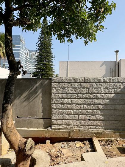 A section of stone wall being built next to an existing tree, showing how the new construction respects the site's natural features.
