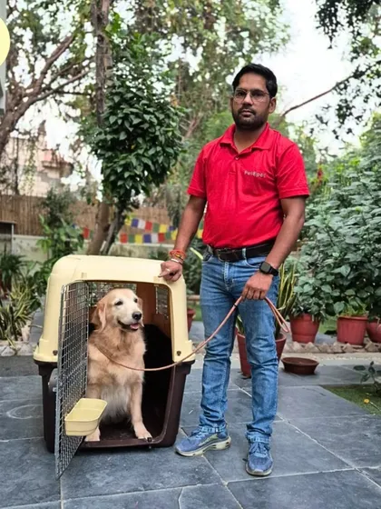 Morpal from my team with a fully assembled crate, ready for a Golden Retriever's journey. We take pride in our work and ensuring every detail is correct.