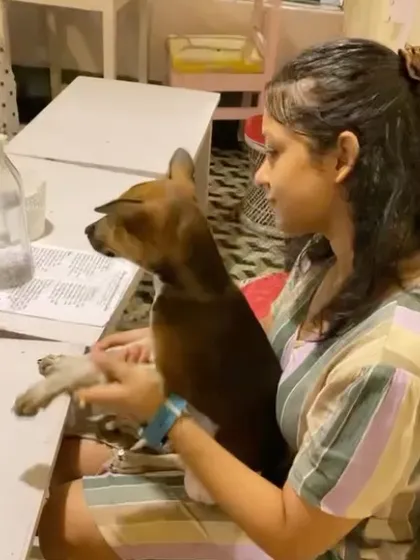 A woman holds a puppy on her lap at one of our art sessions. The puppies are free to interact with participants, helping them get socialized and ready for their new homes.