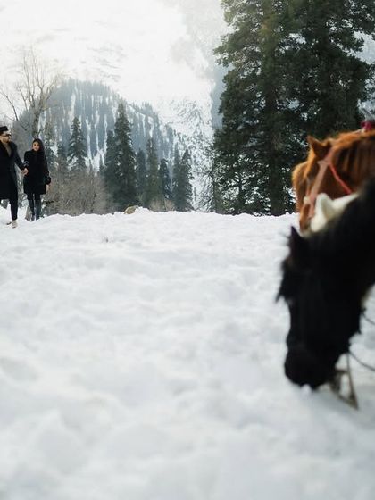 A candid moment in the snow, with horses grazing nearby. We look for unique angles and foreground elements to add depth and a sense of place to our destination pre-wedding photography.